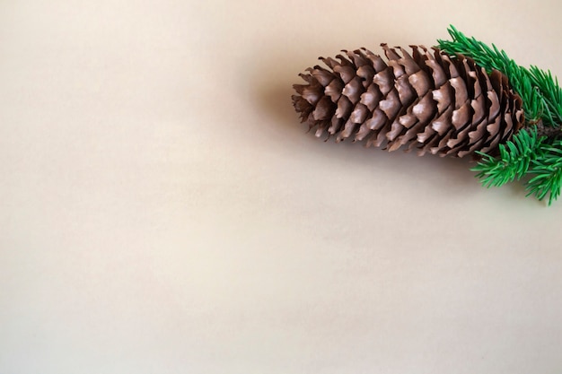 Postcard concept in a minimalist style fir cone on a spruce branch on a pastel beige background