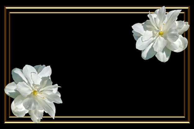 Postcard or invitation to a funeral death With flowers on a black background