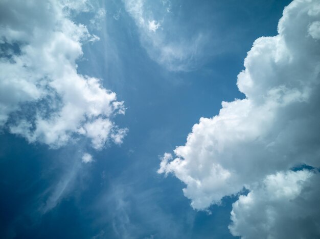 텍스트 벽지를 위한 장소가 있는 엽서 레이아웃 큰 흰 구름이 있는 아름다운 푸른 하늘