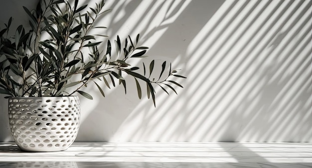 Poster or banner idea olive branches in sunlight shadow from blinds on the wall AI generated