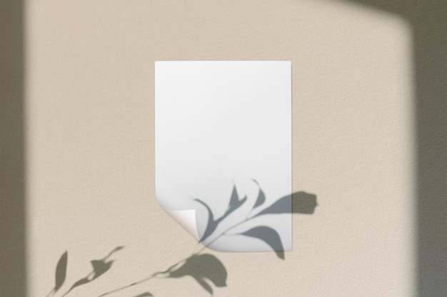 Poster mockup png transparent natural light on wall