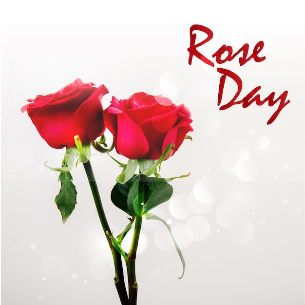 Foto un poster che dice rose day con due rose rosse.