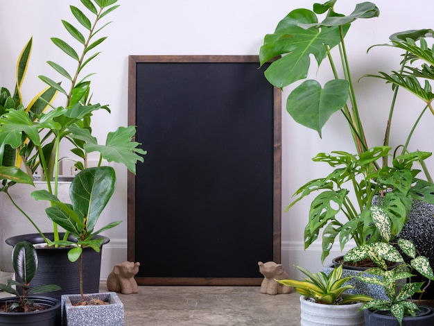 Posterframe en diverse kamerplanten op cementvloer en olifantenstandbeeld luchtzuiveren met Monsteraphilodendron selloum CactusAroid palmZamioculcas zamifoliaFicus LyrataGevlekte betelslang plant