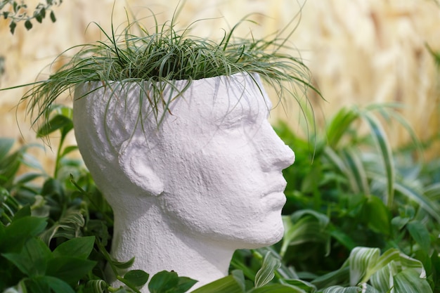 Pot for indoor plants in the shape of a head of a man