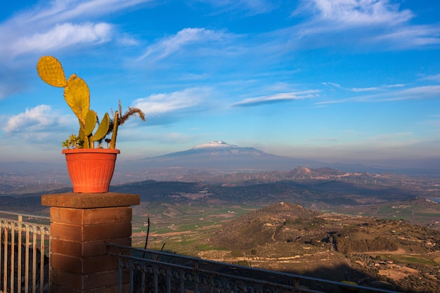 Pot met stekelige perenplant en vulkaan etna aidone