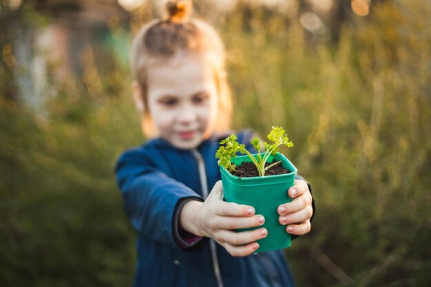 Pot met zaailingen in kinderhanden