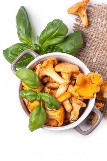 Pot of mushrooms chanterelles