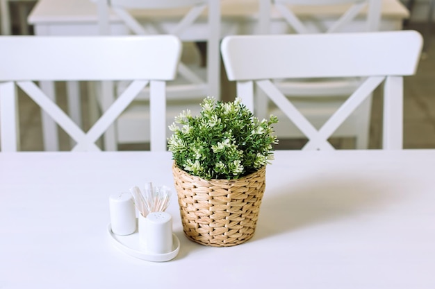 고리 버들 세공 냄비에 테이블에 플라스틱 식물의 냄비 멋진 흰색 테이블