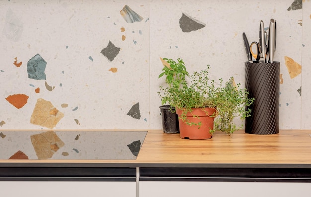 A pot of thyme Kitchen herbs