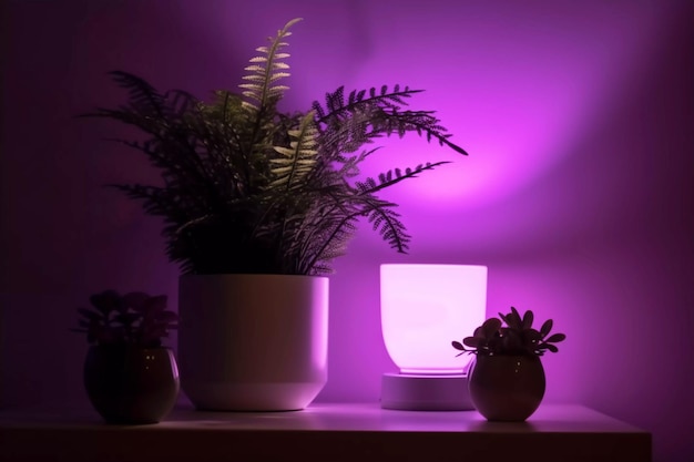 A pot with a plant and a purple lamp above it