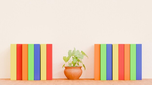 Фото Пот с небольшим растением в середине пятнадцати книг различных цветов на деревянном столе