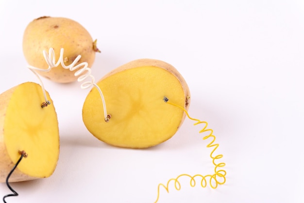 Potato battery on white background.  Alternative green energy generated from potatoes.