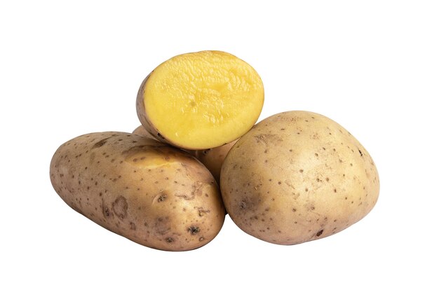 Potato isolate on white background.