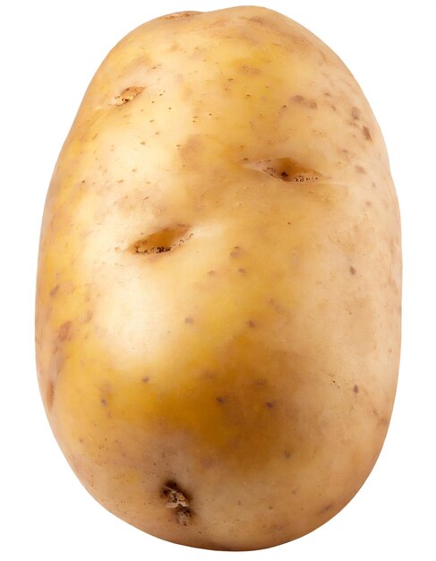 Photo potato isolated on white background closeup studio photography
