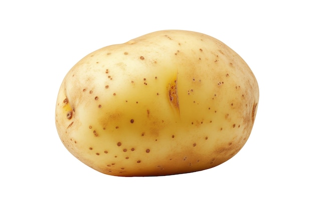 Potato isolated on white