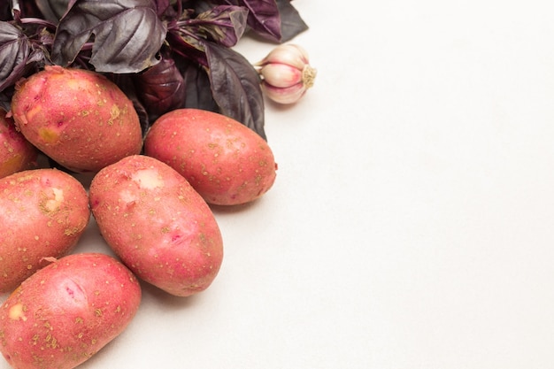 Potato tubers, head of garlic and blue basil. Copy space. White background