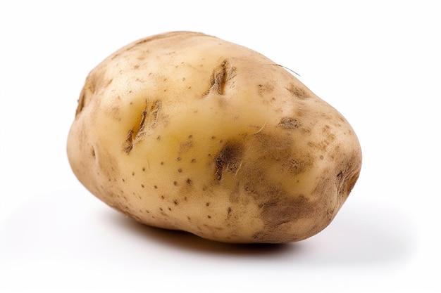 A potato on a white background