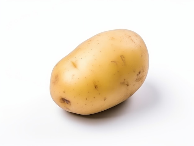 A potato on a white background