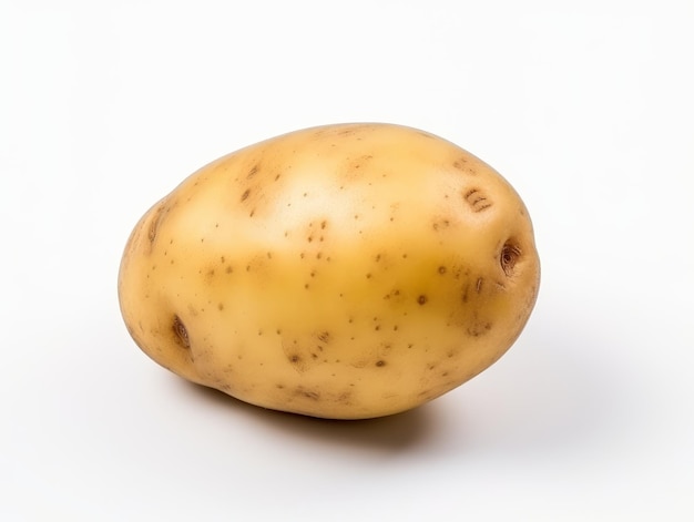 A potato on a white background