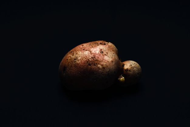 Potato