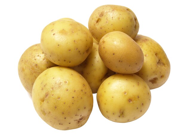 Potato