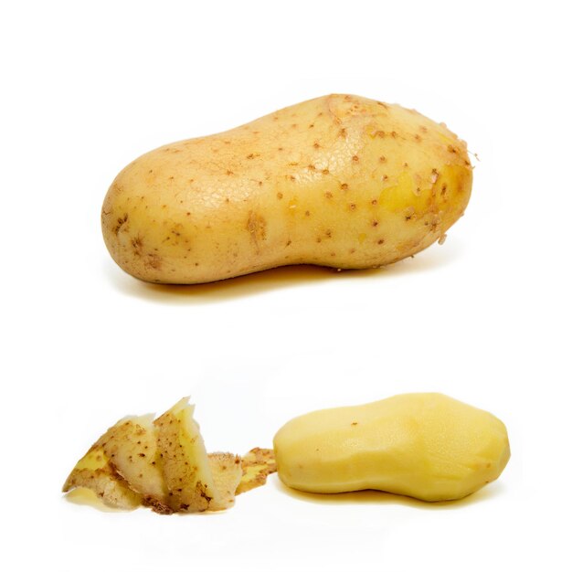 Potato