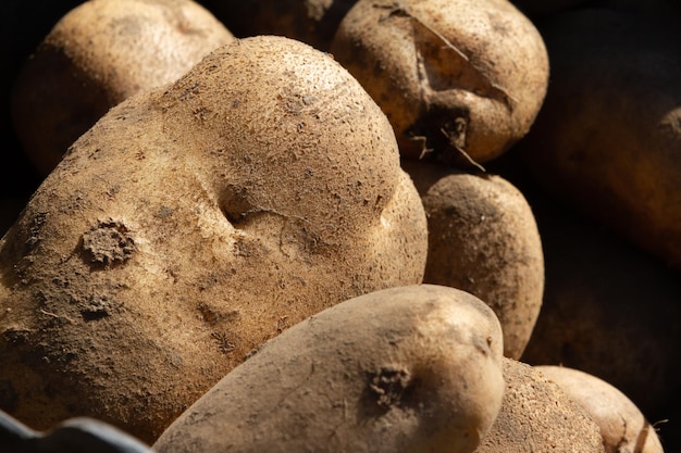 potatoes of different sizes in a wicker basket