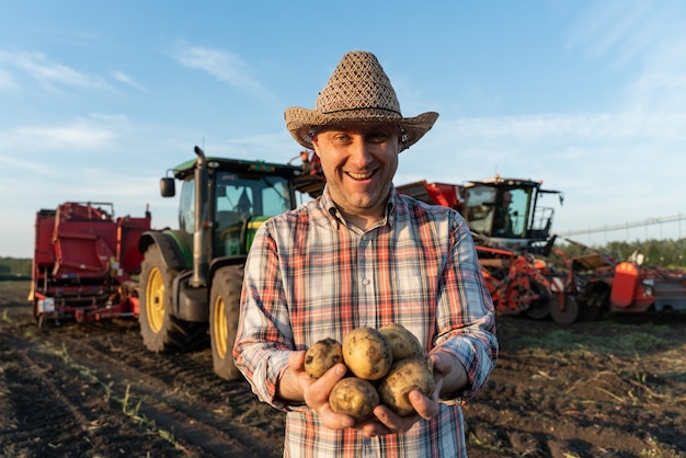 Potatoes in the hands of a man on the background of a tractor