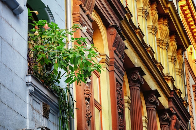 Potbloemen op vensterbank en de traditionele buitenkant van de architectuurvoorgevel, Boedapest