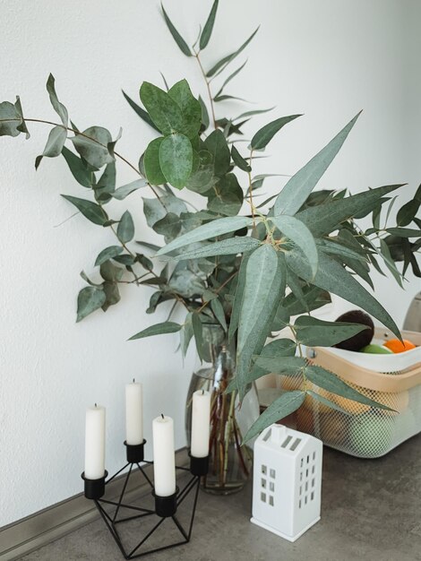 Foto potplant op tafel tegen de muur thuis