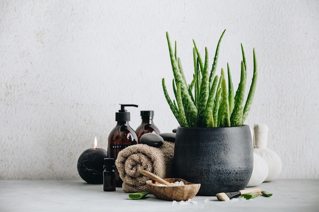 Foto potplant op tafel tegen de muur