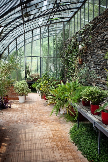 Potplanten in de veranda