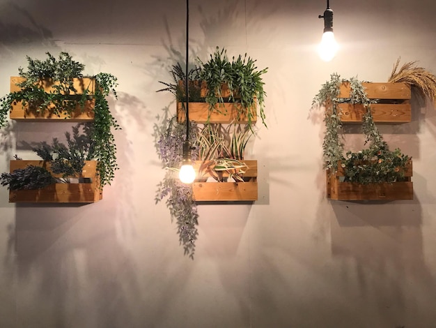 Foto potplanten op tafel tegen verlicht glas's nachts