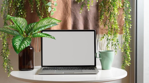 Foto potplanten op tafel