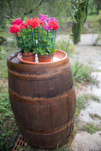 Pots of multicolored flowers in a net stand on a wooden barrel in the open air