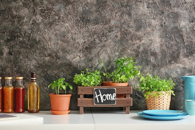 Pots with fresh aromatic herbs, tableware and bottles of sauces on light table