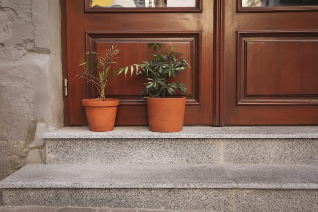 Pots with plants near wooden doors outdoor