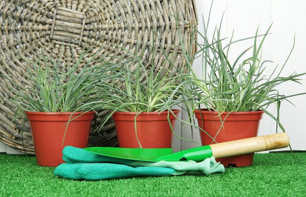 Pots with seedling on green grass on wooden background