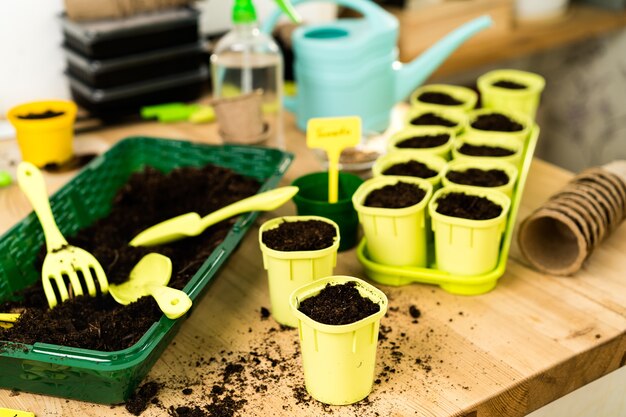 Pots with soil on a wooden table for planting seeds and seedlings of vegetables, micro greens, arugula, gardening concept and planting plants.