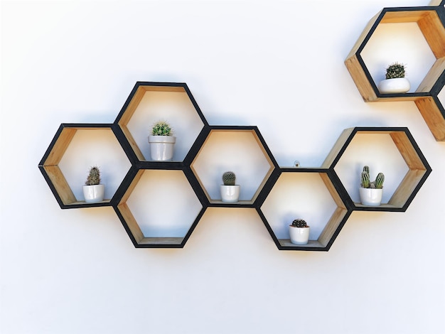 Potted Cacti on Hexagonal Shelves Against White Wall