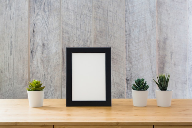 Potted cactus plant and white picture frame with black border on table