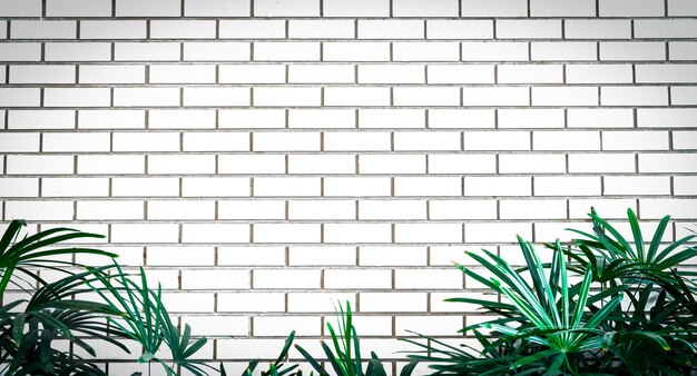 Photo potted plant against brick wall