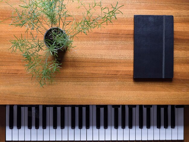 Растение в горшке и книга на пианиновом столе