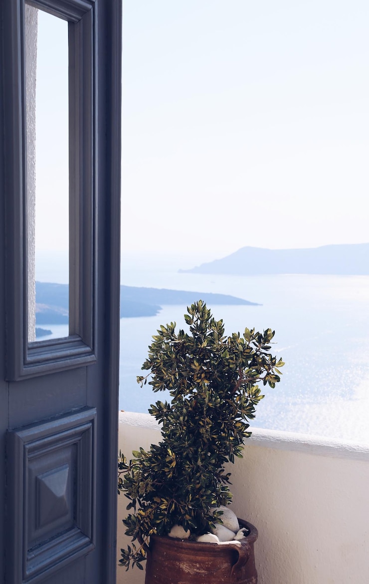 Photo potted plant by sea against sky seen through window