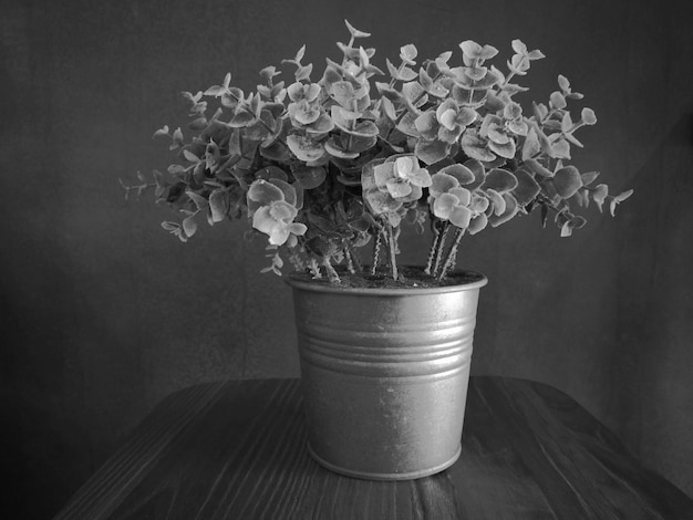 写真 花瓶の中の花瓶の植物