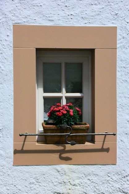 写真 建物の窓際の鉢の植物