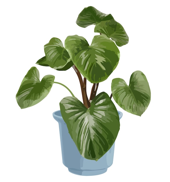 Наклейка на растение в горшке PNG Philodendron melanoneuron