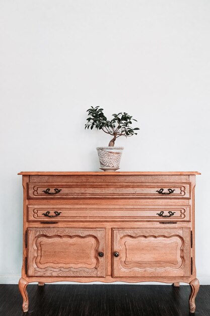 Photo potted plant on table against wall at home