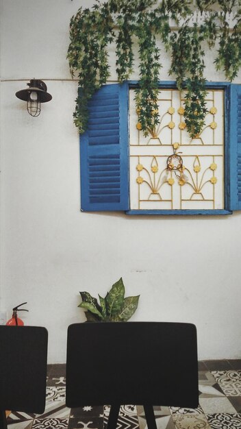 Photo potted plant on table by window