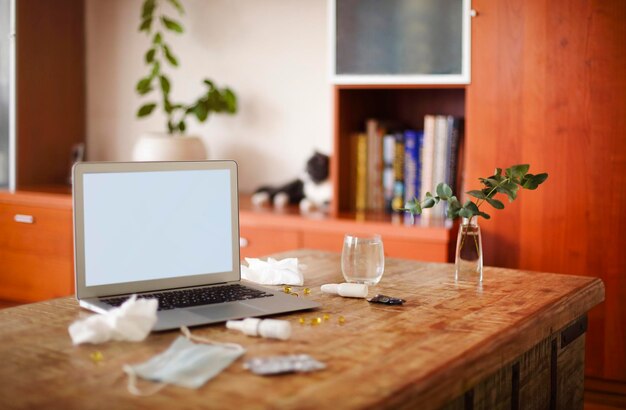 Photo potted plant on table at home